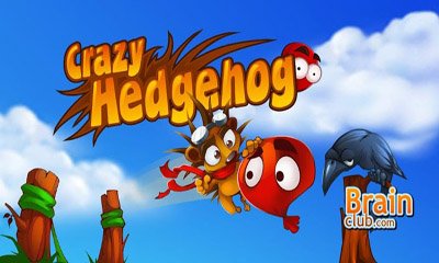 game pic for Crazy Hedgehog